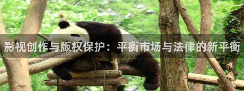 嫩草影院网站一久久：影视创作与版权保护：平衡市场与法律的新平衡