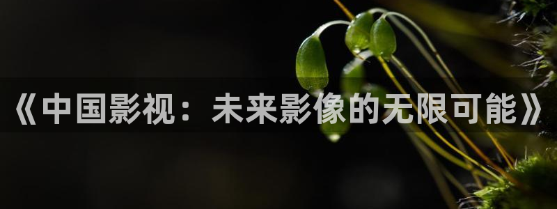 嫩草影院性色：《中国影视：未来影像的无限可能》