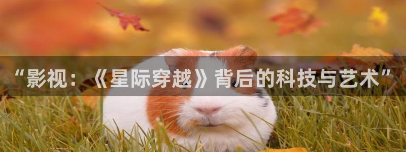 嫩草影院人体艺术：“影视：《星际穿越》背后的科技与艺术”