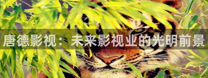 91久久偷偷做嫩草影院：唐德影视：未来影视业的光明前景