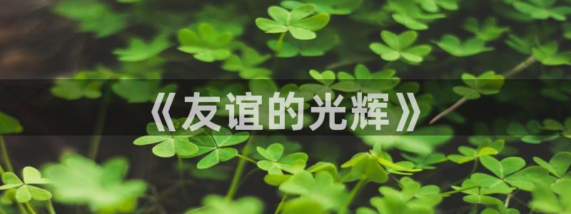嫩草嫩草嫩草影院：《友谊的光辉》