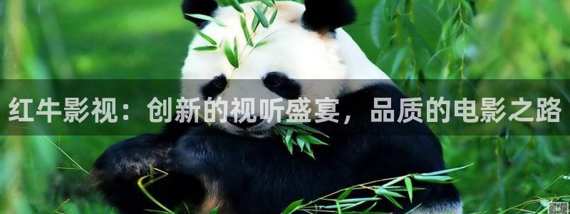 嫩草影院苹果影院：红牛影视：创新的视听盛宴，品质的电影之路