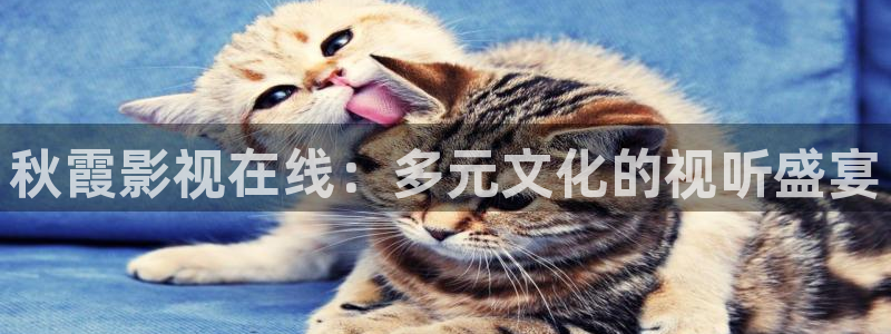 嫩草影视网站：秋霞影视在线：多元文化的视听盛宴